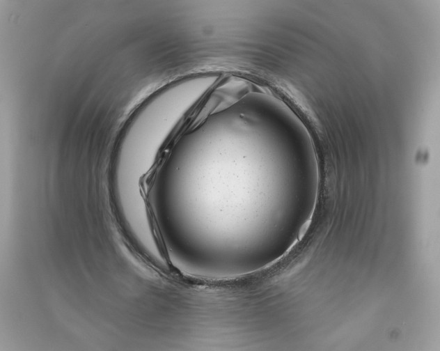 X0000091000530200708161940