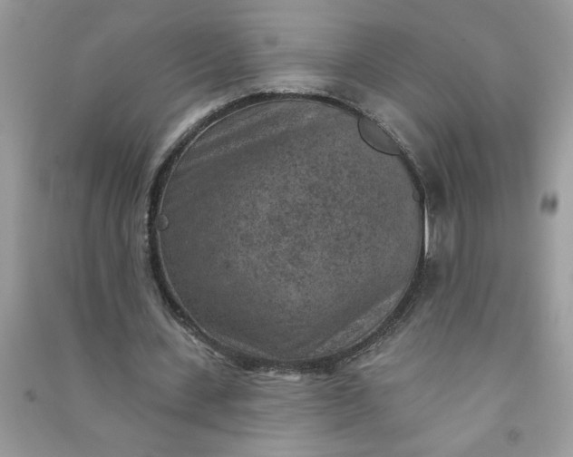 X0000091000531200708161940