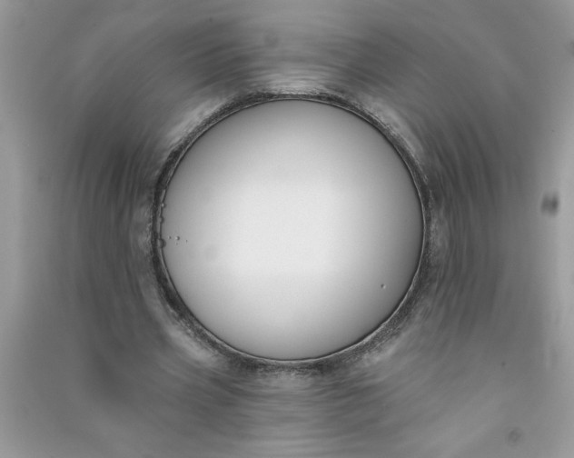 X0000091000533200708161940