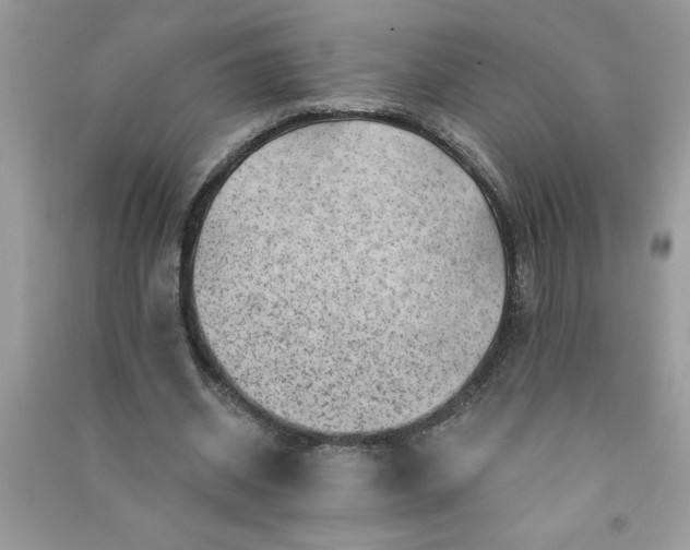 X0000091000534200708161940