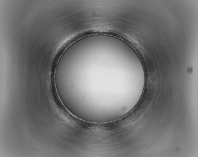 X0000091000535200708161940