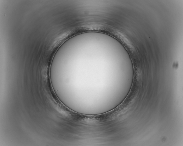X0000091000537200708161940