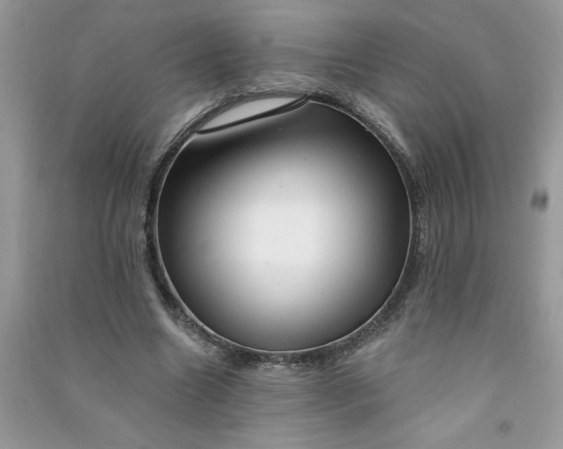 X0000091000538200708161940