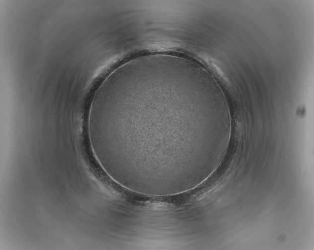 X0000091000539200708161940