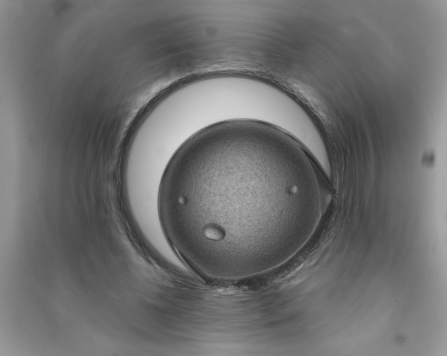 X0000091000540200708161940