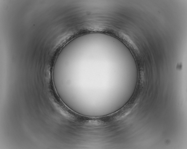 X0000091000541200708161940