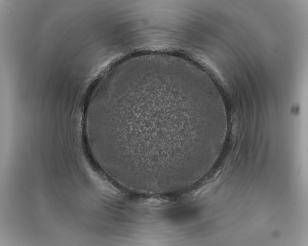 X0000091000542200708161940
