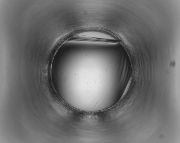 X0000091000543200708161940