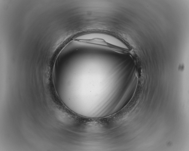 X0000091000544200708161940