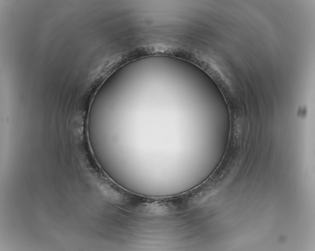 X0000091000545200708161940