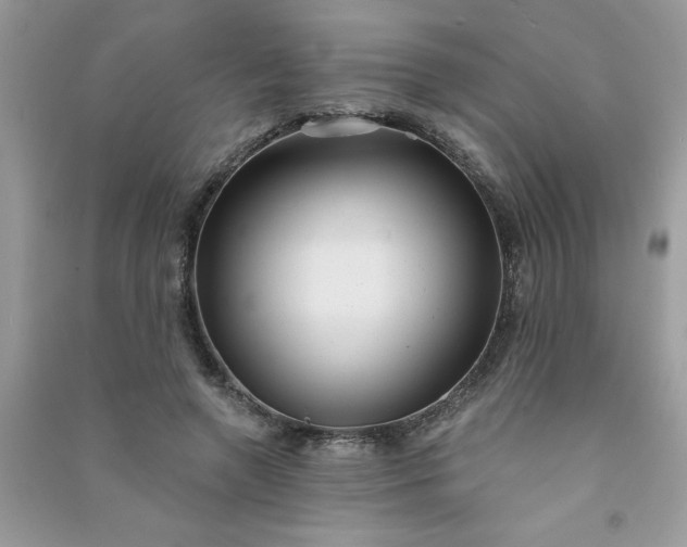 X0000091000546200708161940