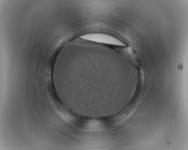 X0000091000547200708161940