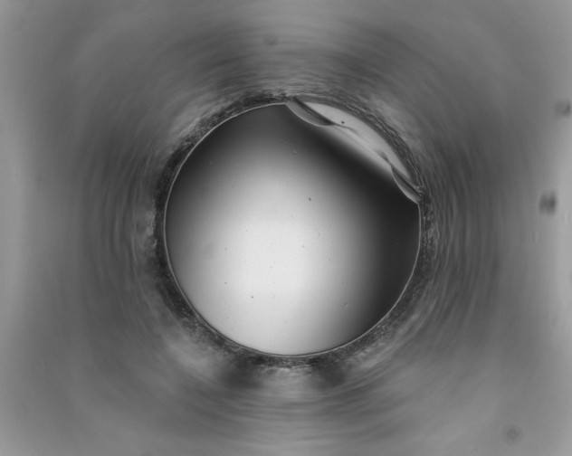X0000091000548200708161940