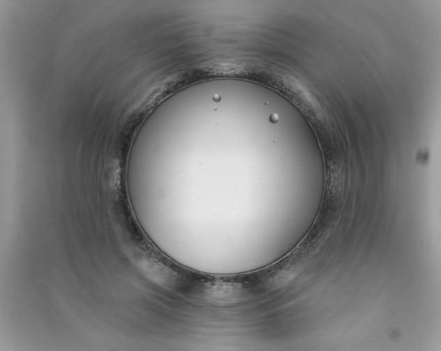X0000091000549200708161940