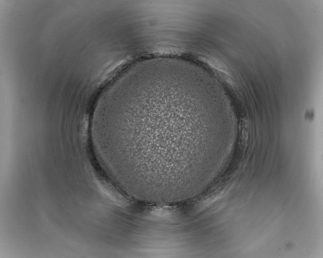 X0000091000550200708161940