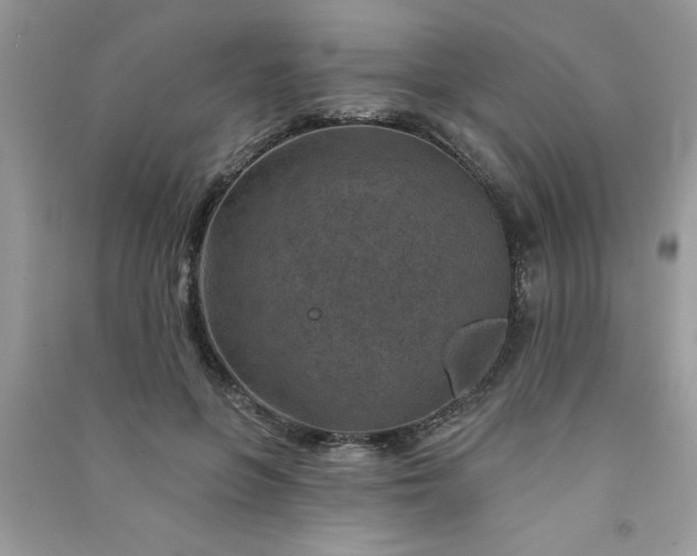 X0000091000551200708161940