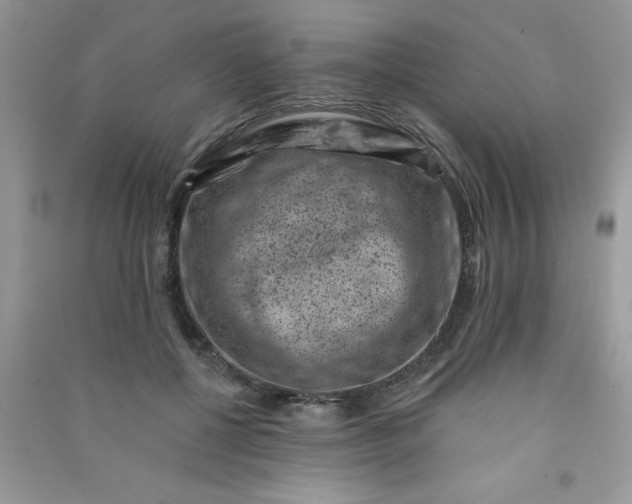 X0000091000552200708161940