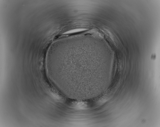 X0000091000553200708161940