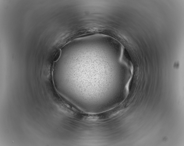 X0000091000554200708161940