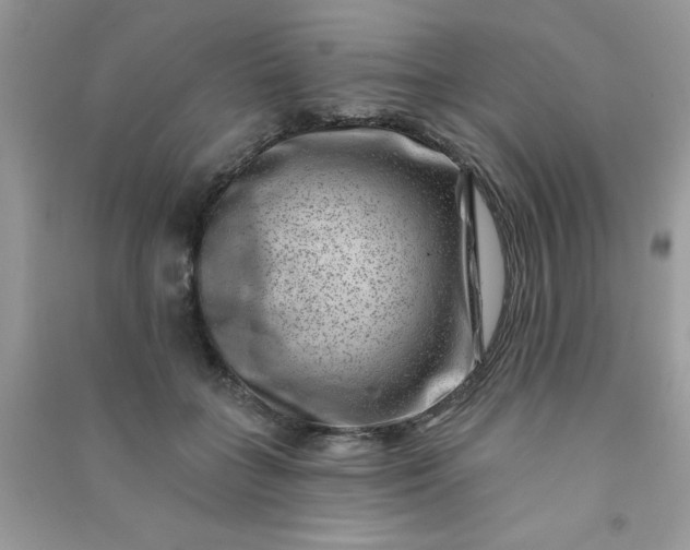 X0000091000555200708161940