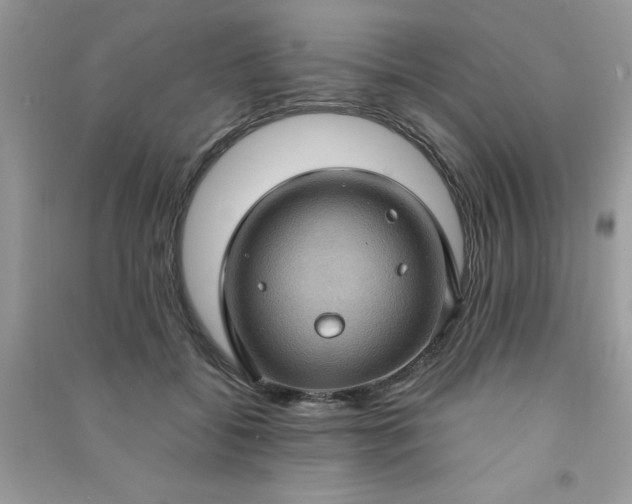 X0000091000556200708161940