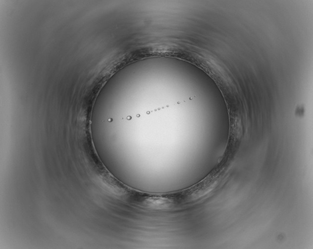X0000091000557200708161940
