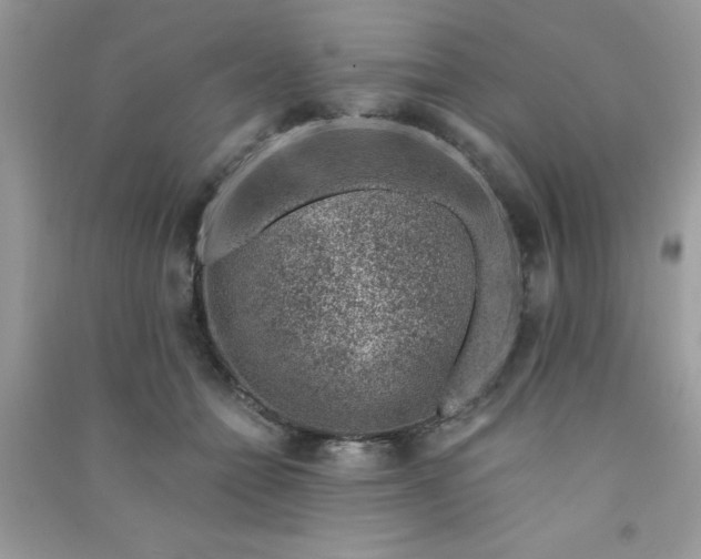 X0000091000558200708161940