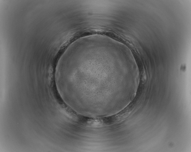 X0000091000559200708161940