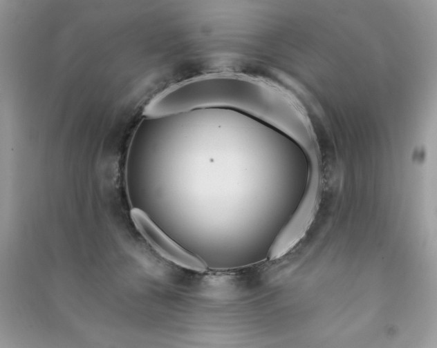 X0000091000560200708161940