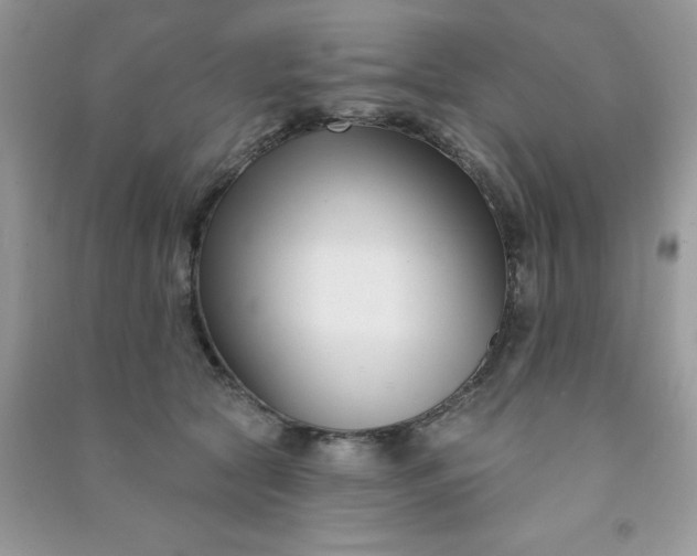 X0000091000561200708161940