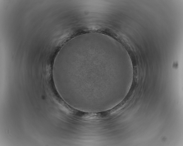 X0000091000563200708161940
