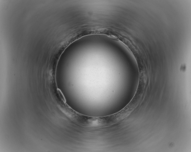 X0000091000564200708161940