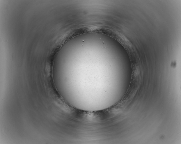 X0000091000565200708161940