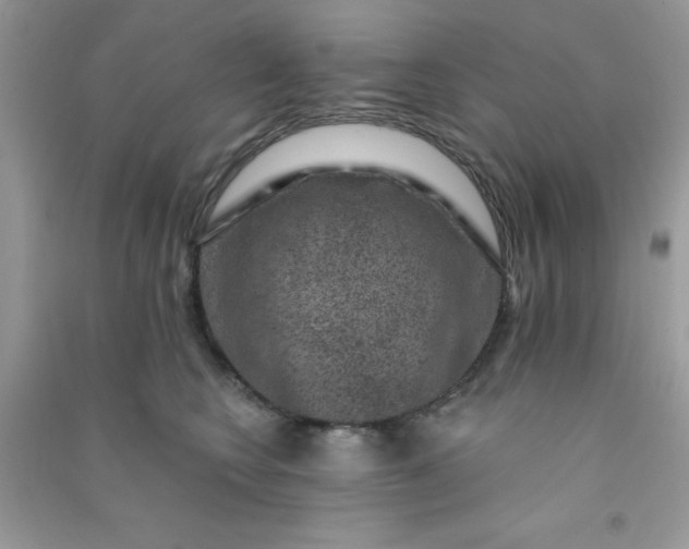 X0000091000566200708161940