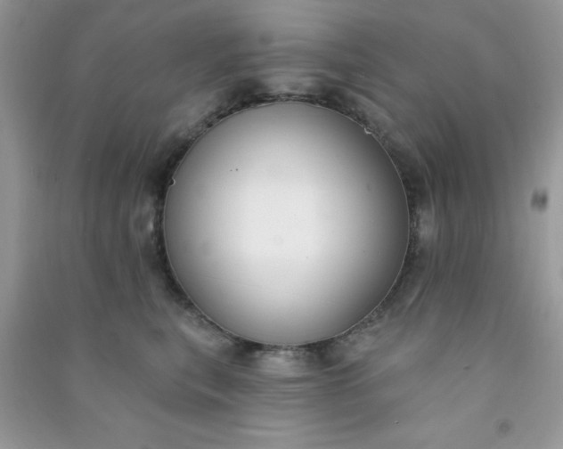 X0000091000567200708161940