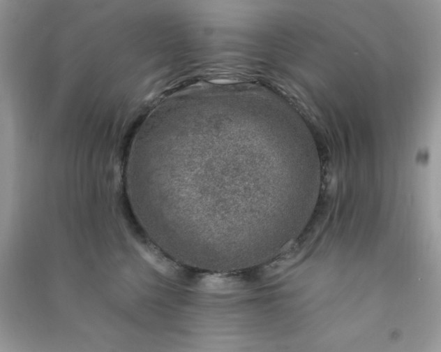X0000091000568200708161940