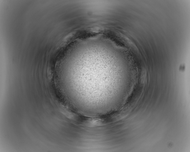 X0000091000569200708161940