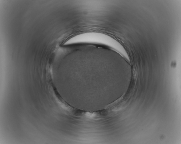 X0000091000570200708161940