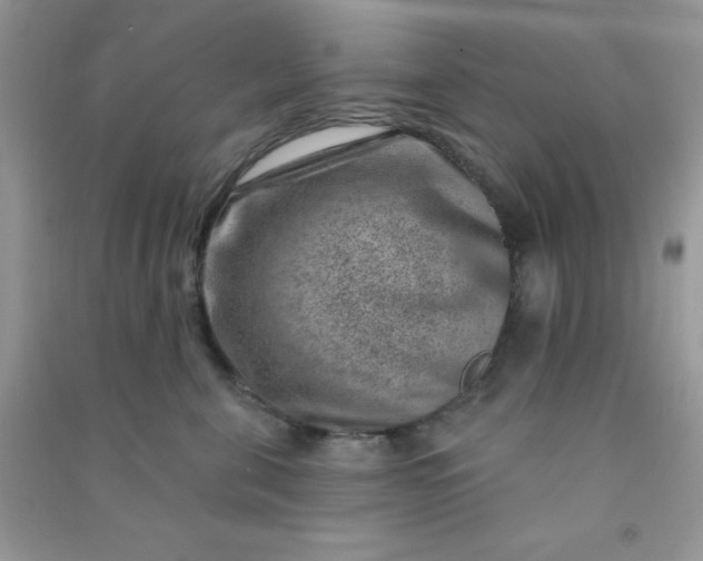 X0000091000571200708161940