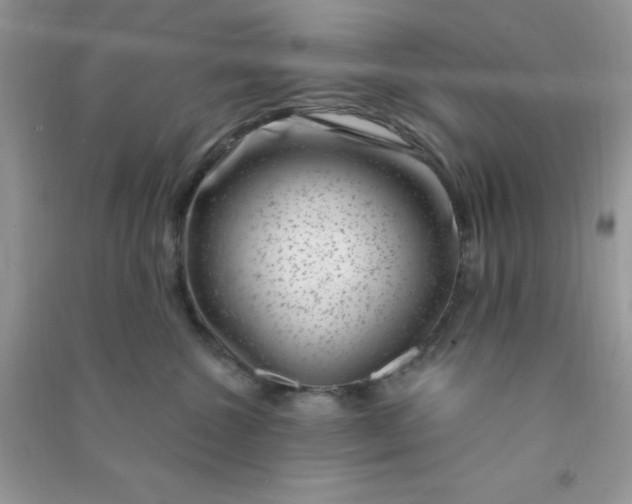 X0000091000572200708161940