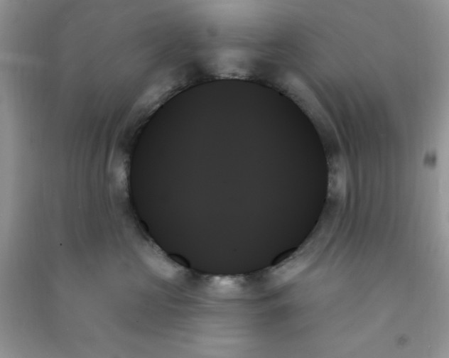 X0000091000573200708161940