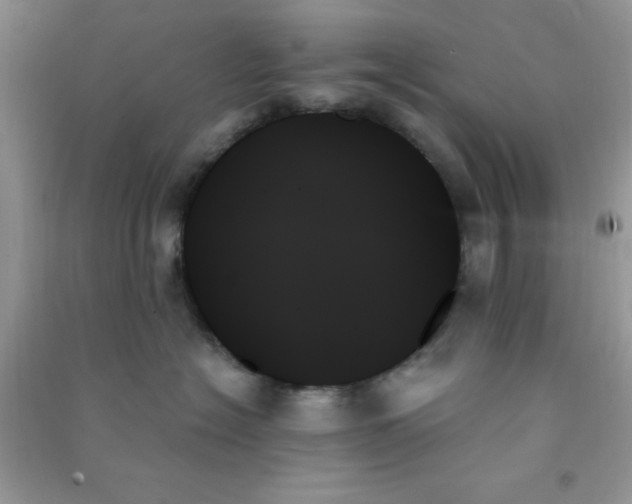 X0000091000574200708161940