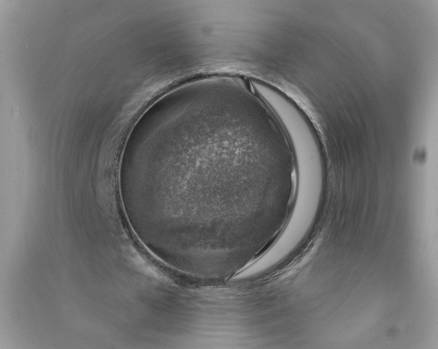 X0000091000577200708161940