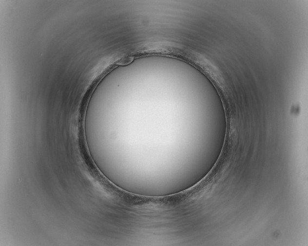 X0000091000578200708161940
