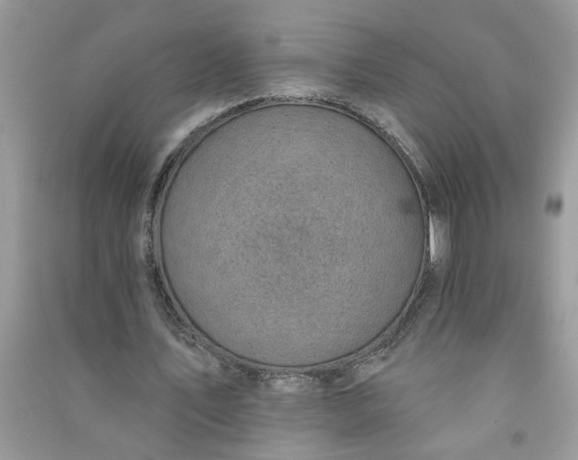 X0000091000579200708161940