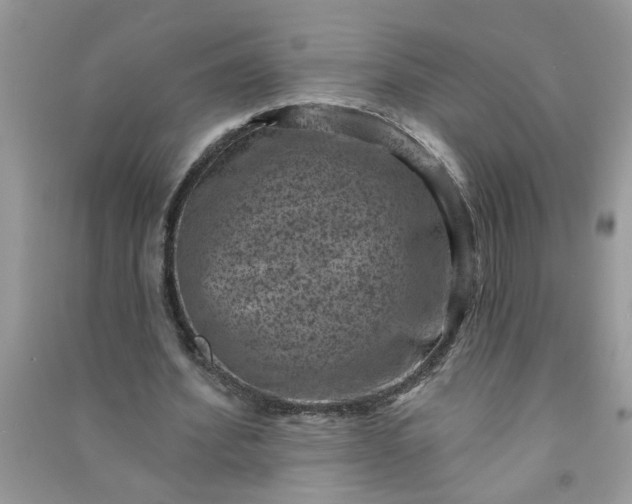 X0000091000580200708161940