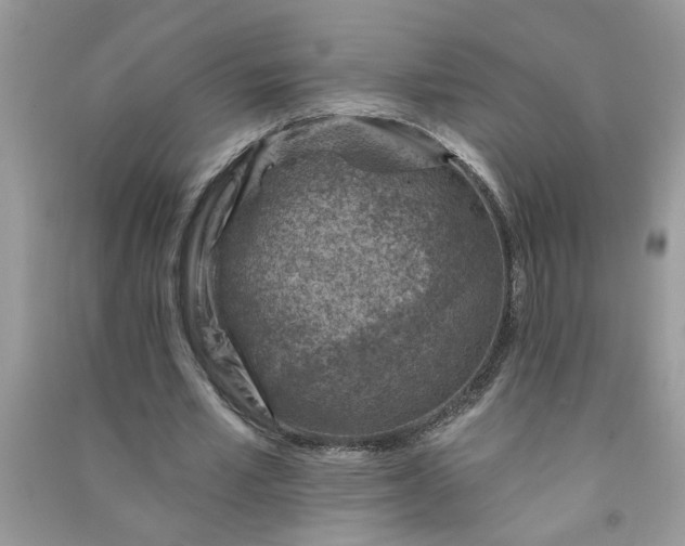 X0000091000581200708161940