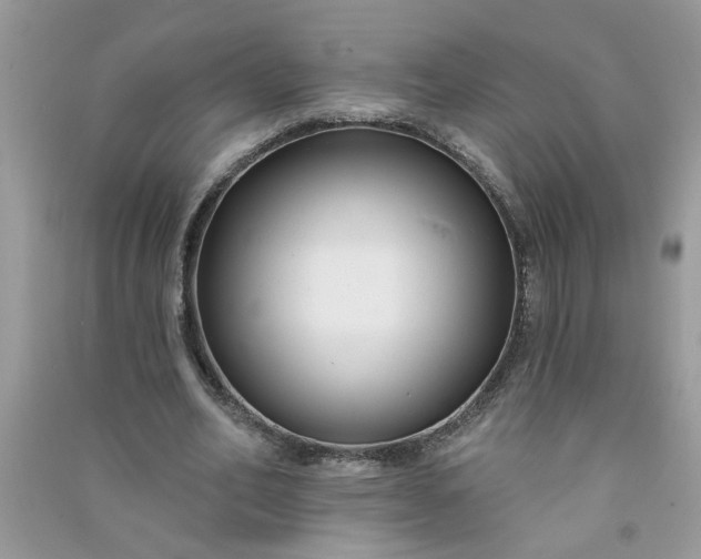 X0000091000582200708161940