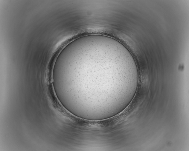 X0000091000583200708161940