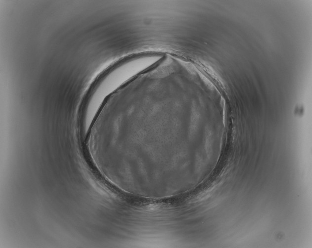 X0000091000584200708161940